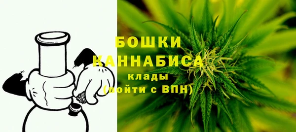 амф Арсеньев