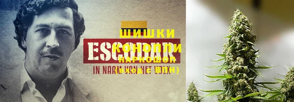 спайс Аркадак