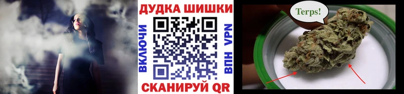 купить закладку  Сосновый Бор  Конопля планчик 